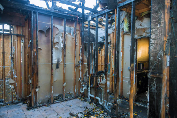 Professional Smoke Damage Removal technician working in Lake Arrowhead, CA